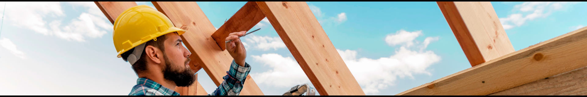 Traitement de Charpente