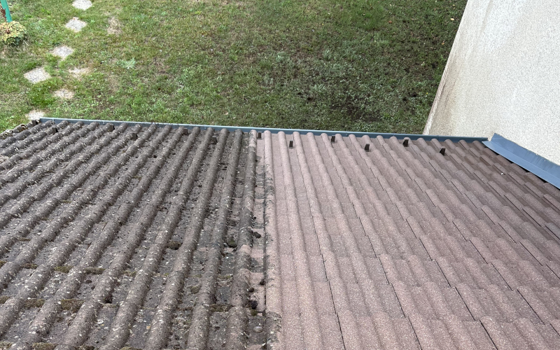 Nettoyage de toiture et démoussage manuel